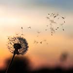 Belén Fernández Crespo